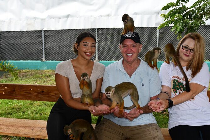 Monkey Tour Interaction and Damajagua waterfalls in Puerto Plata. - Final Thoughts: Is This Tour for You?