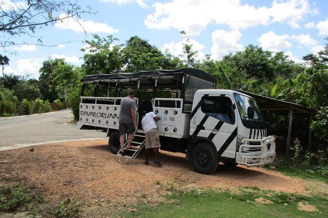 Monkeyland and Plantation Safari from La Romana - What to Expect from the Tour
