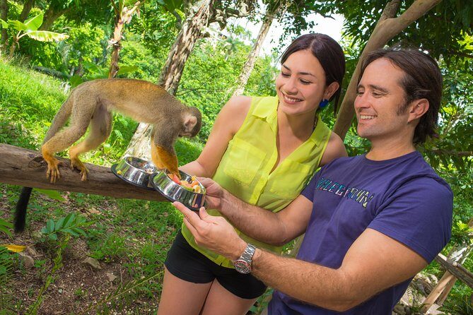 Monkeyland and Plantation Safari from La Romana - Final Thoughts: Is It Worth It?