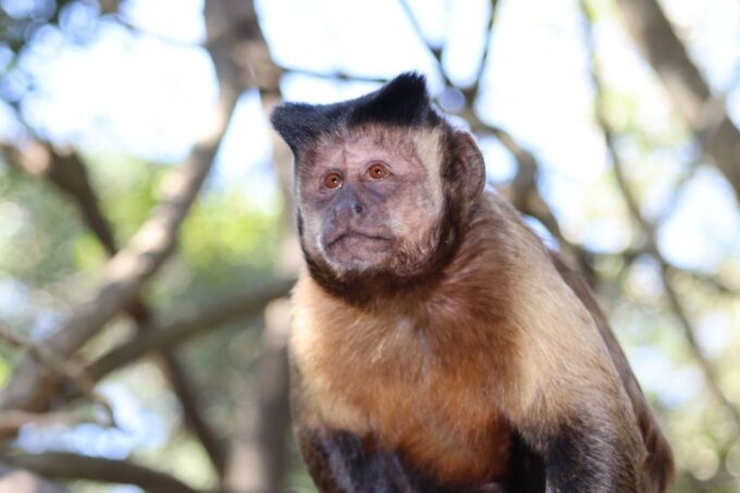 Monkeyland, Birds of Eden, Jukani - Animal Sanctuaries - Recommended Attire and Accessories