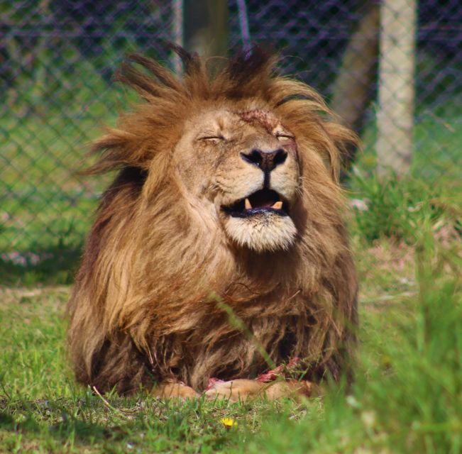 Monkeyland, Birds of Eden, Jukani - Animal Sanctuaries - Frequently Asked Questions