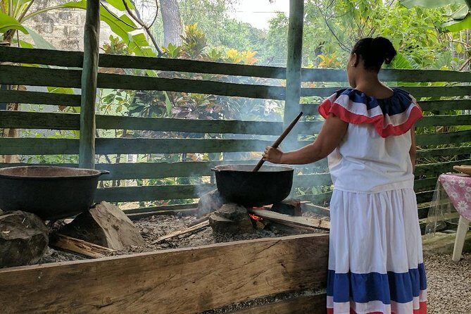 Monkeyland & Plantation Safari Full Day from Juan Dolio - The Sum Up