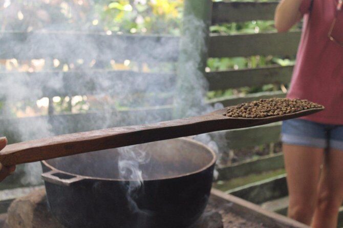 Monkeyland & Plantation Safari Full Day from Juan Dolio - Frequently Asked Questions