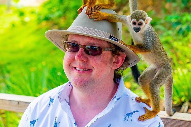Monkeyland Puerto Plata - What the Reviews Say: Authentic Perspectives