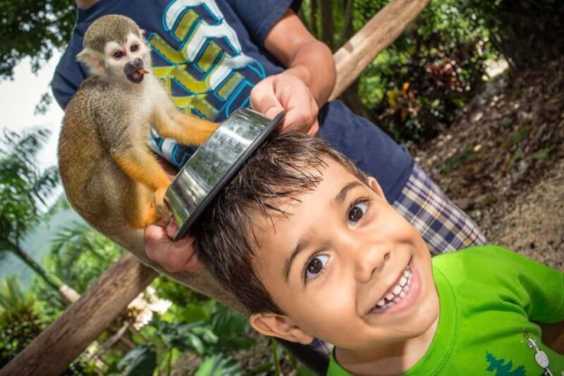 Monkeyland Punta Cana Natural Jungle and Guided Safari Tour - An Honest Look at the Tour Itself