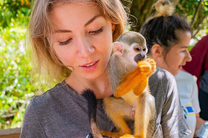 Monkeyland Samana Shared Adventure - FAQ