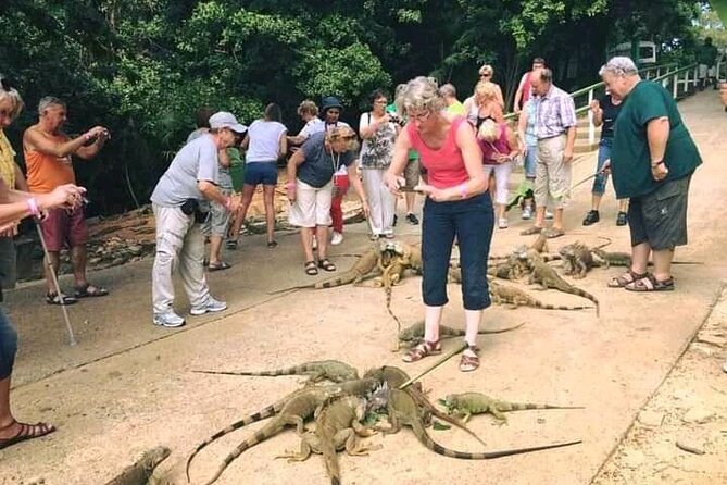 Monkeys and Sloth Hang Out With Island Tour in Roatan - Tour Experience and Activities