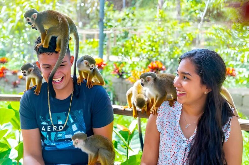 Monkeys and Snorkel Adventure in Sosúa, Puerto Plata - Who Would Love This Tour?