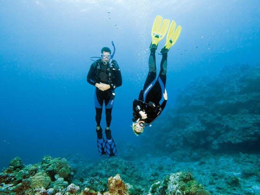 Monopoli: Discover Scuba Diving in the Apulian Riviera - Key Points