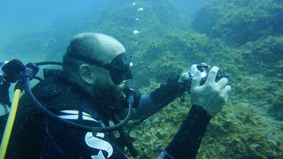 Monopoli: Discover Scuba Diving in the Apulian Riviera - Exploring the Dive Site