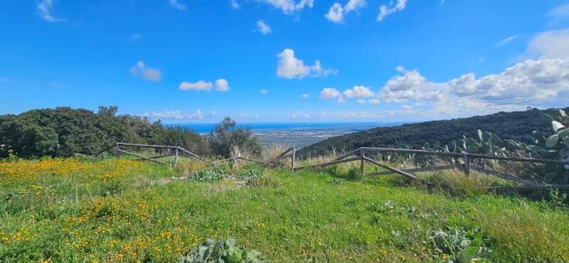 Monopoli: E-bike Ride with Olive Groves & Coastal View - An In-depth Look at the Monopoli E-bike Tour