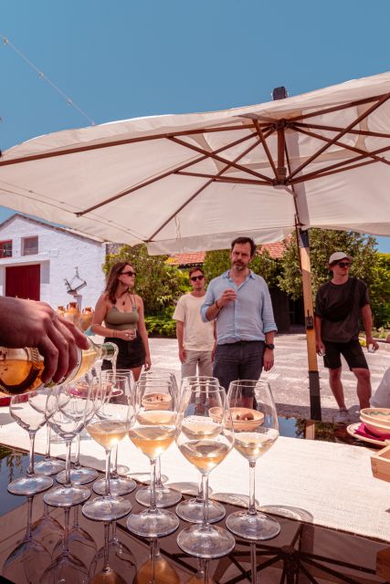 Monopoli: Parco Rurale Tour With Tasting of 3 Apulian Wines - Inclusions and Amenities