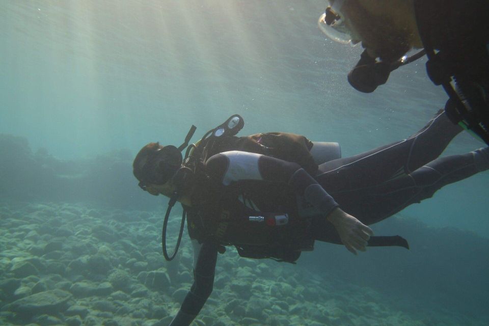Monopoli: Scuba Diving in Cala Incina and Porto Alga - Key Points