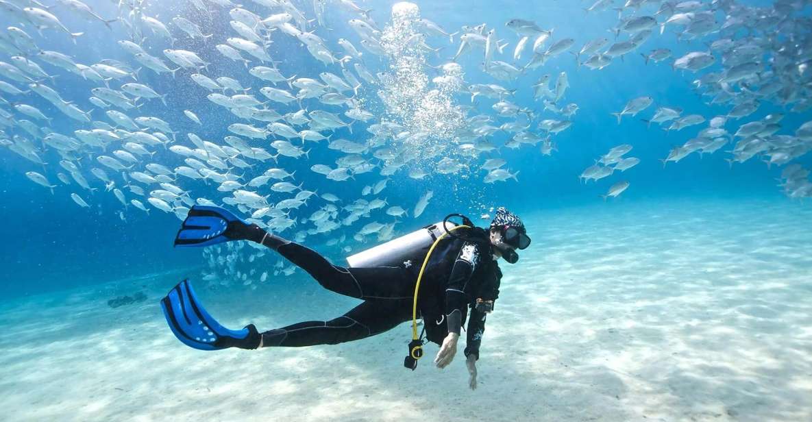 Monopoli: Scuba Diving in Cala Incina and Porto Alga - Experience Requirements