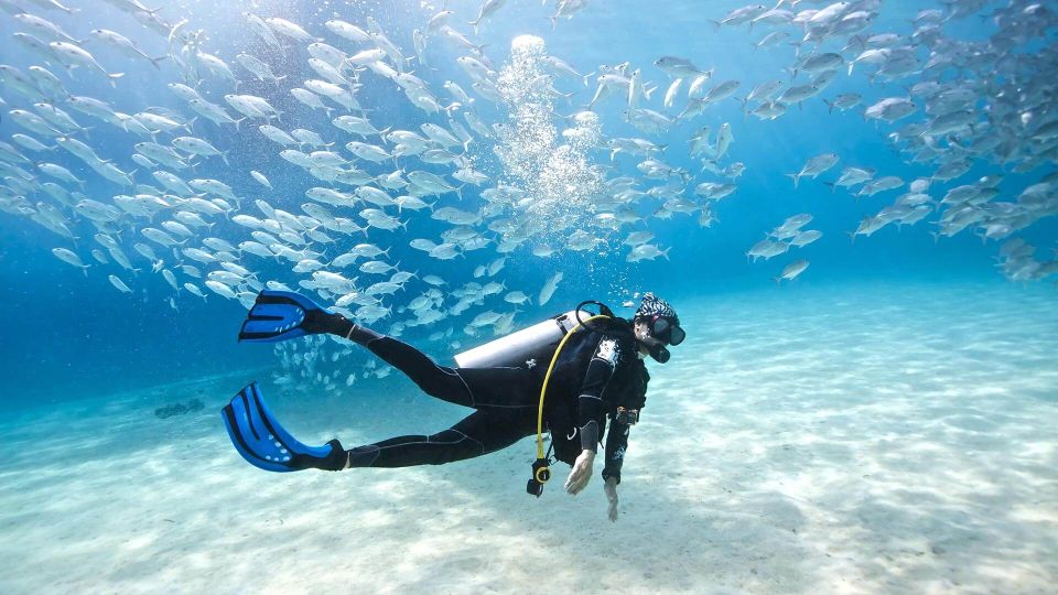 Monopoli: Scuba Diving in Cala Incina and Porto Alga - Frequently Asked Questions