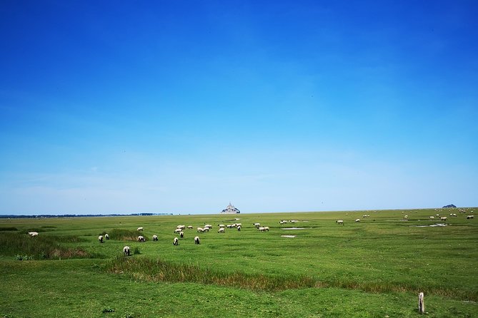 Mont Saint-Michel Day Trip From Bayeux (Shared Tour) - Booking Information
