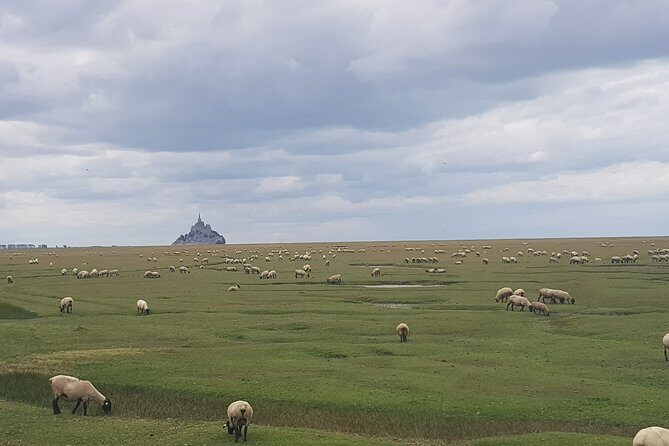 Mont Saint-Michel Private trip from Saint-Malo with local driver - Frequently Asked Questions
