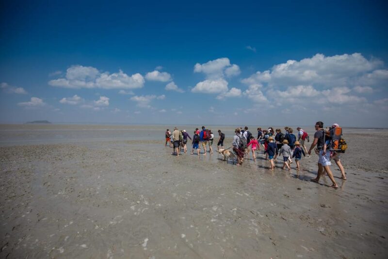 Mont Saint-Michel : Walk With an English-Speaking Guide - Customer Ratings