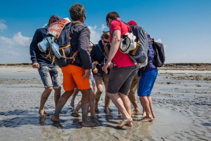 Mont Saint-Michel : Walk With an English-Speaking Guide - Exploring the Bay of Mont Saint-Michel