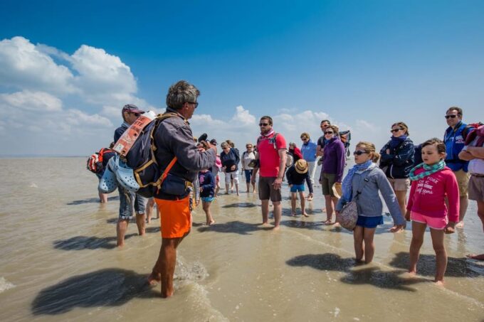 Mont Saint-Michel : Walk With an English-Speaking Guide - Ask Away