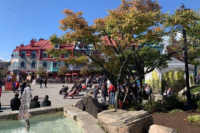 Mont-Tremblant 1 Day Tour - Travel Comfort and Safety