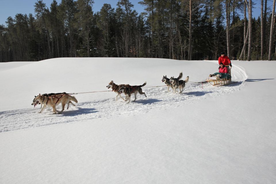 Mont-Tremblant: Dogsledding Experience - Duration and Languages