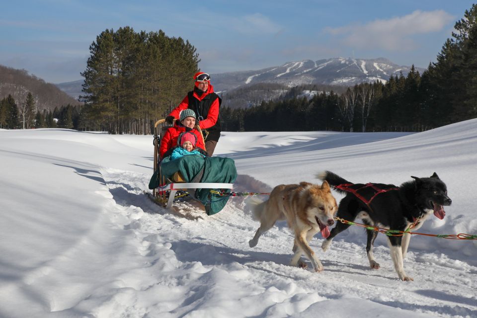 Mont-Tremblant: Dogsledding Experience - Group Size and Highlights