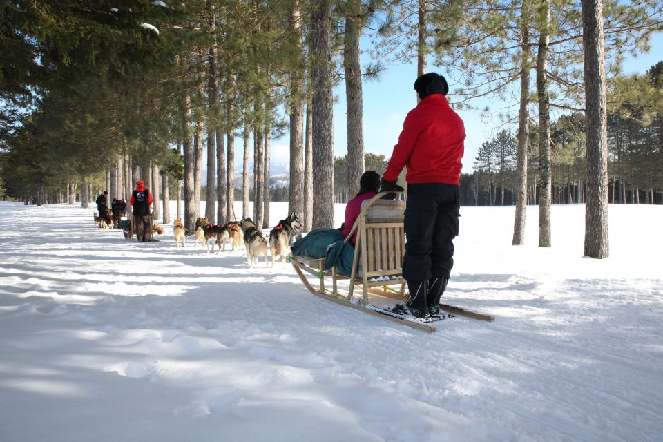 Mont-Tremblant: Dogsledding Experience - Meeting Point and Location