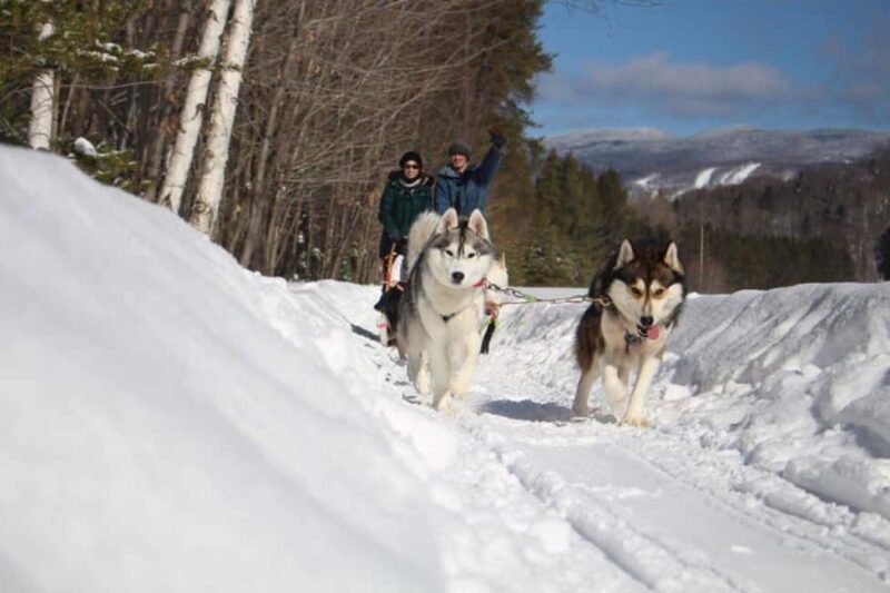 Mont-Tremblant: Dogsledding Nordic Adventure - Key Points