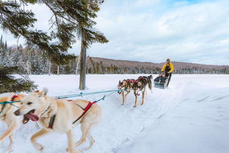 Mont-Tremblant: Dogsledding Upper Laurentians - The Trail and Scenery