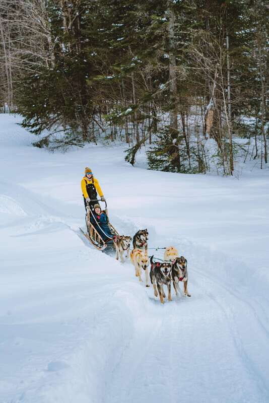 Mont-Tremblant: Dogsledding Upper Laurentians - Warmth and Comforts