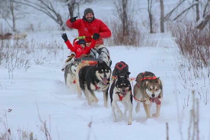 Mont Tremblant Dogsledding Valley Adventure - Key Points