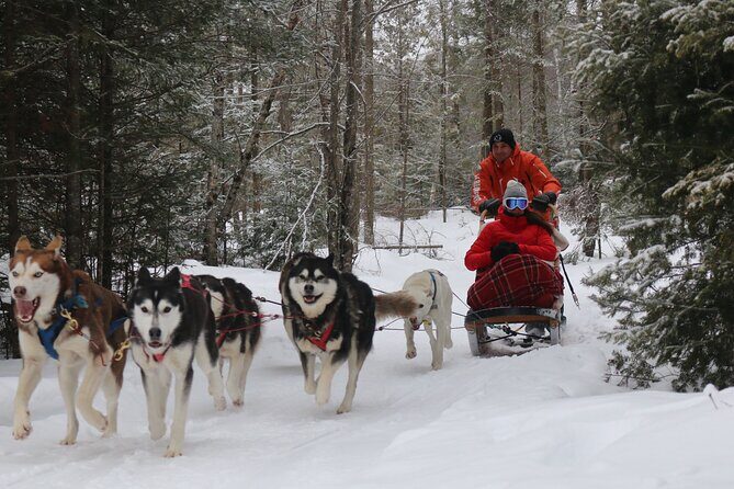 Mont Tremblant Dogsledding Valley Adventure - The Sum Up: Is It Worth It?
