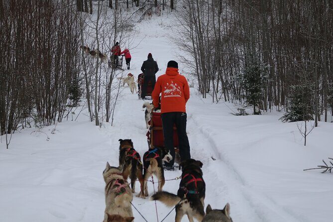 Mont Tremblant Dogsledding Valley Adventure - FAQs