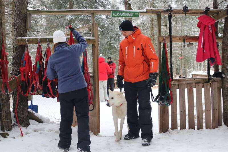 Mont-Tremblant: Dogsledding Valley Adventure - Key Points