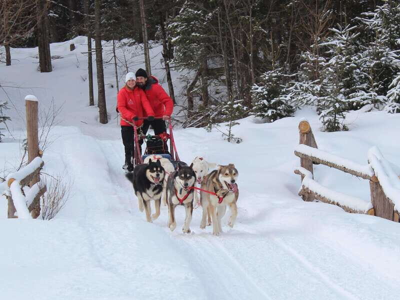 Mont-Tremblant: Dogsledding Valley Adventure - Authenticity and Why It Stands Out
