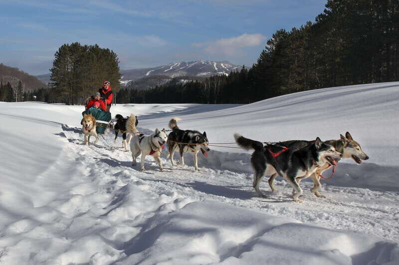 Mont-Tremblant: Guided Dogsledding Tour with Hot Chocolate - Who Will Love This Tour?