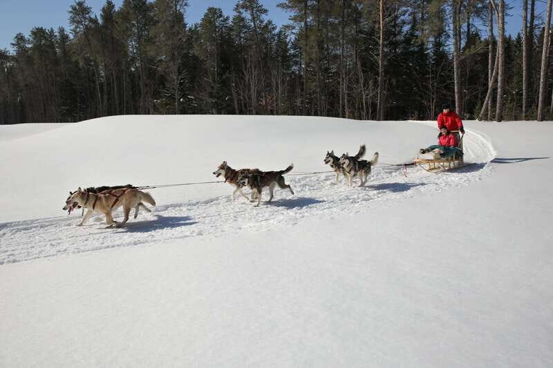 Mont-Tremblant: Guided Dogsledding Tour with Hot Chocolate - FAQs