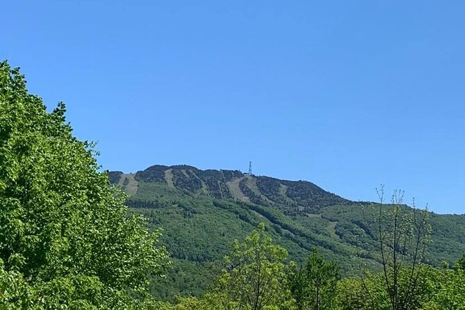 Mont Tremblant Private Day Tour From Montreal - Customer Feedback Snapshot