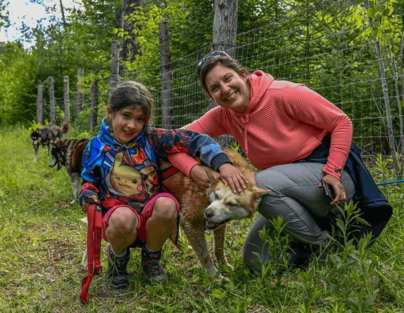 Mont-Tremblant: Sled Dog Hiking Experience - Key Points