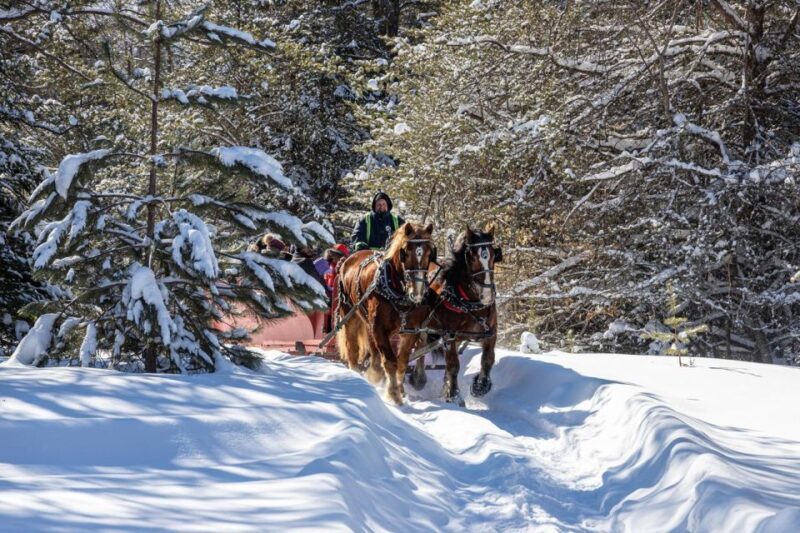 Mont-Tremblant: Sleigh Ride w/ Storytelling & Hot Chocolate - A Practical Look at the Mont-Tremblant Sleigh Ride Experience