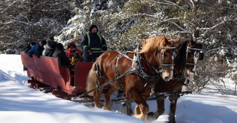 Mont-Tremblant: Sleigh Ride w/ Storytelling & Hot Chocolate - FAQ