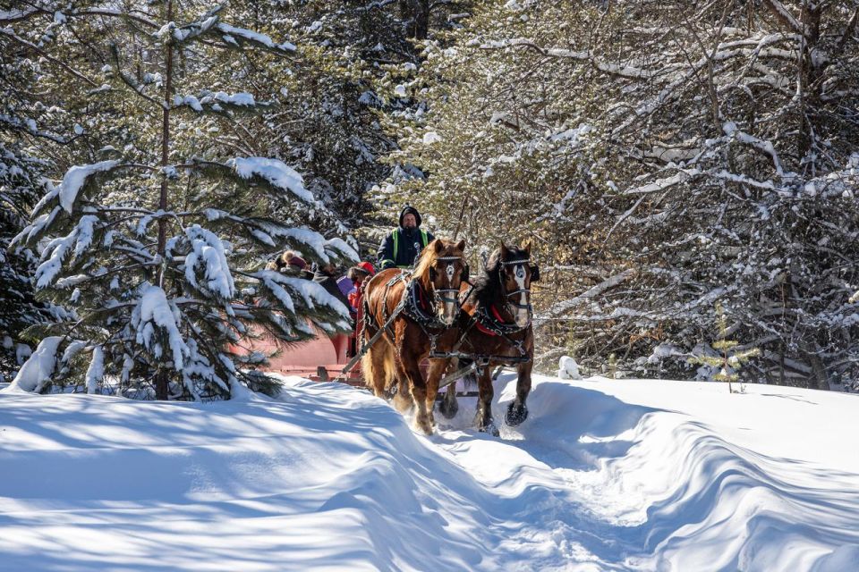 Mont-Tremblant: Sleigh Ride W/ Storytelling & Hot Chocolate - Highlights
