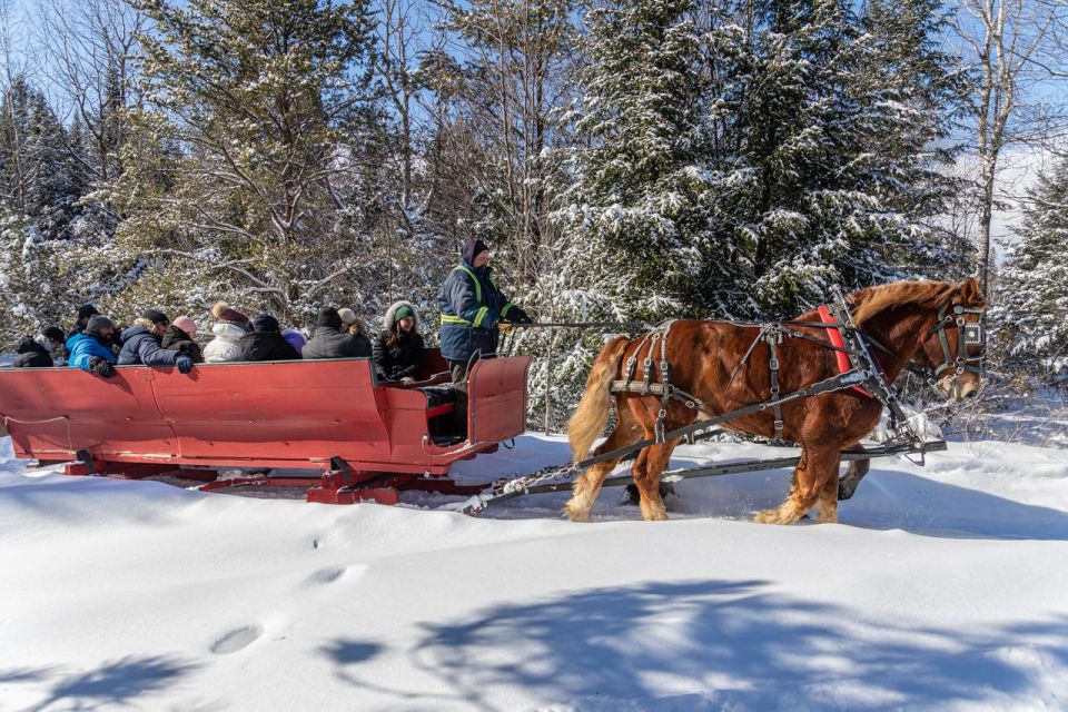 Mont-Tremblant: Sleigh Ride W/ Storytelling & Hot Chocolate - Inclusions