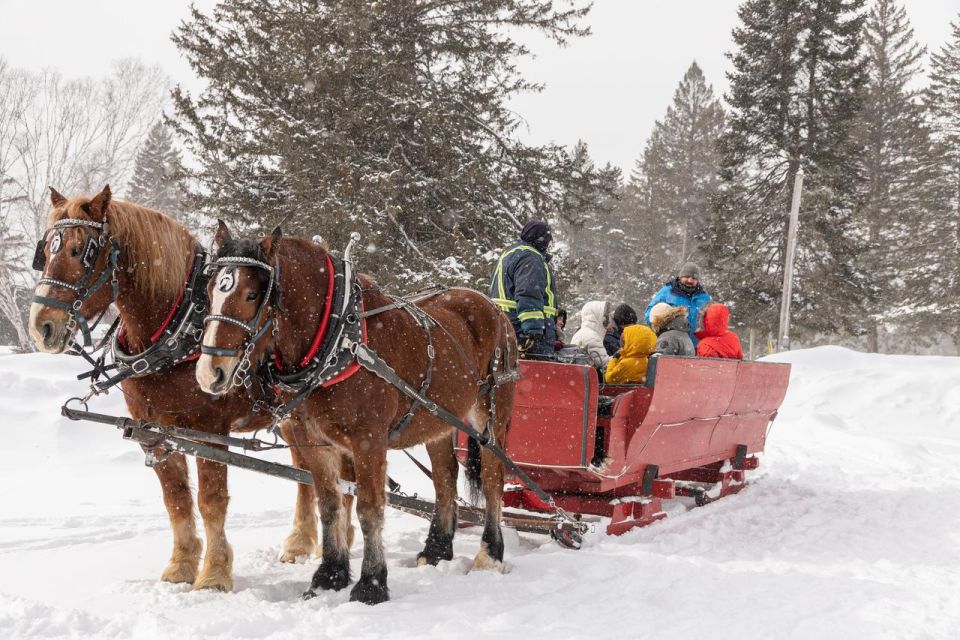 Mont-Tremblant: Sleigh Ride W/ Storytelling & Hot Chocolate - Pricing