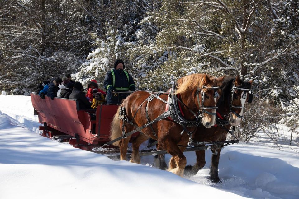 Mont-Tremblant: Sleigh Ride W/ Storytelling & Hot Chocolate - Maple Syrup Tasting