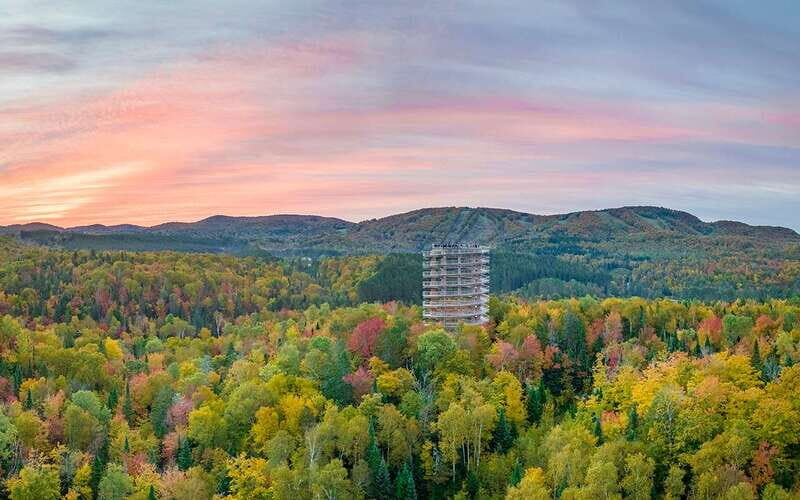 Mont-Tremblant: Treetop Observatory and Self-Guided Walk - Authentic Visitor Insights