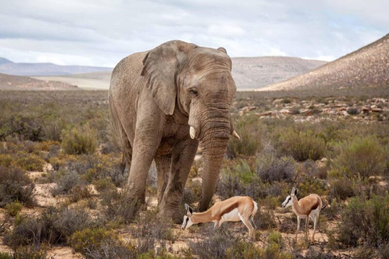 Montague: Klein Karoo Mountain Retreat - Itinerary and Activities