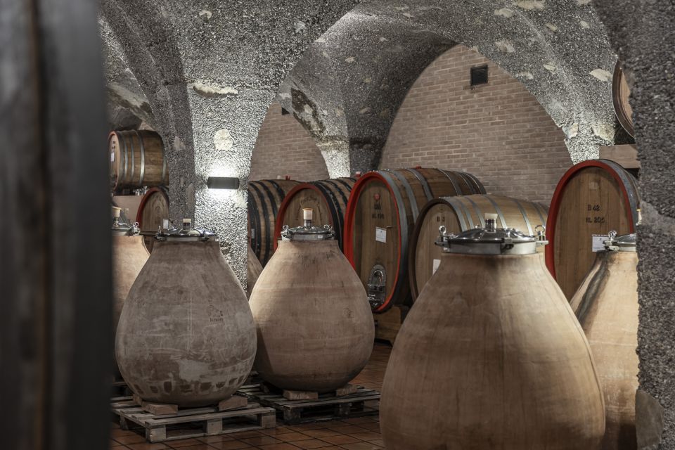 Montalcino: Backstage Brunello & Gourmet Wine-Food Tasting - Brunello Barrel Samples Tasting