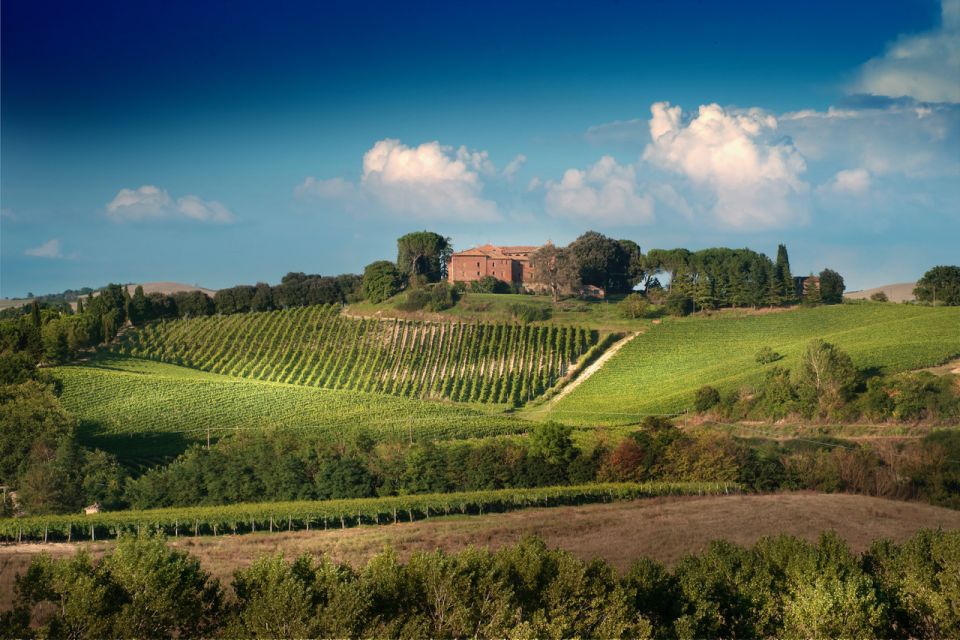 Montalcino: Brunello Wine Tasting & Lunch in a Tuscan Castle - Meeting Point Details